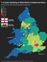 demogrraphics-white-british