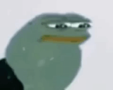 34567543