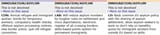 2005 election immigration policies