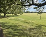 IMG_1388