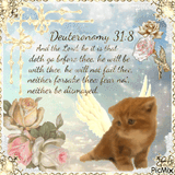 christian-cat