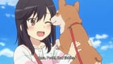 Hotaru Pechi