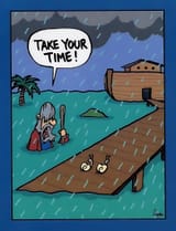 noah