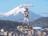 adios-delfin-hasta-el-fin