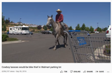 walmart cowboy
