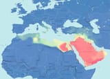 Medieval Arab ancestry