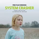System-Crasher1