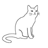 image11111[1]