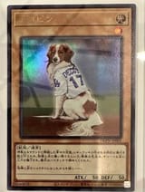 Thread 213147479 OP Image