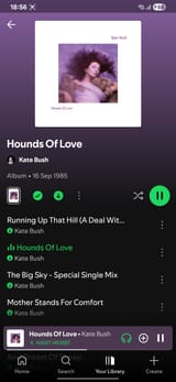 Screenshot_20250623_185645_Spotify