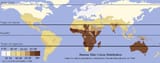 Unlabeled_Renatto_Luschan_Skin_color_map