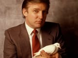 light maga