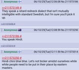 Finnish pajeet42