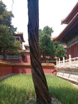 IMG_COM_202506241336455774