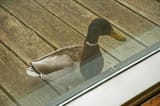 IMG_20250624_081115