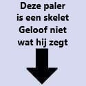 Skelet