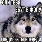 17319149705301
