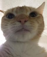 1727486984386143