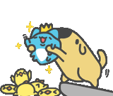 capoo_king