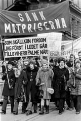 skärholmsfruarna