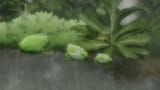 cap_After The Rain - 05_00_15_29_01