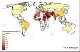 muslim inbreeding