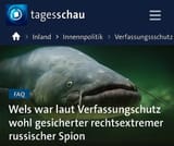 wels