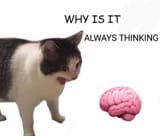 1741718885691561