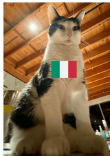 1748213086445922