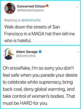 adam savage