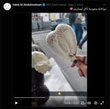 salool in europe