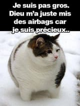 meme