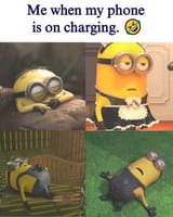 13545664