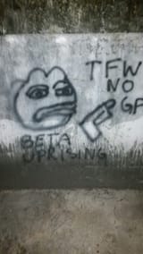 1424466529022