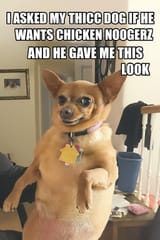 ghwq
