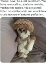 Thread image
