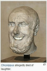 chrysippus