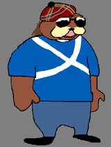 anglo-bear-scot