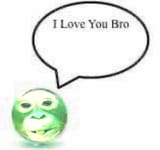 bro