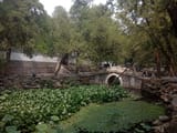 IMG_COM_202506251736381062