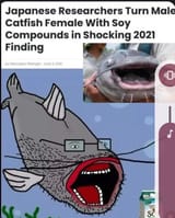 1750846457102803