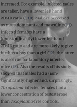 1745317481874756