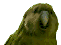 120315615284