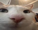 1713373467287660
