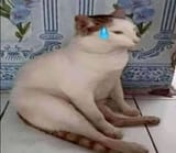 i wish he&#039;s not here