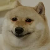 174389274982347239