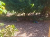 IMG_20250625_124238036
