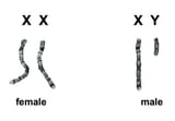 bv9fpsk3-1414040470