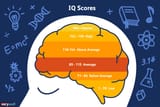 iq-score