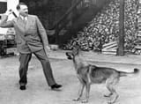 0_Adolf-Hitler-2959697220